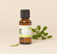 Huile essentielle de Tea tree (Arbre à Thé BIO)